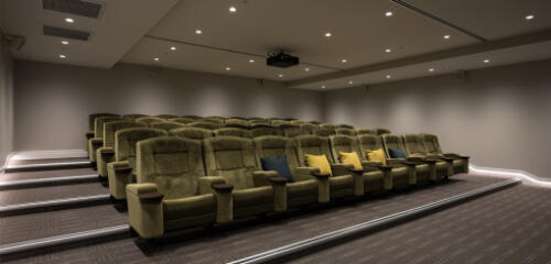 cinema and salon