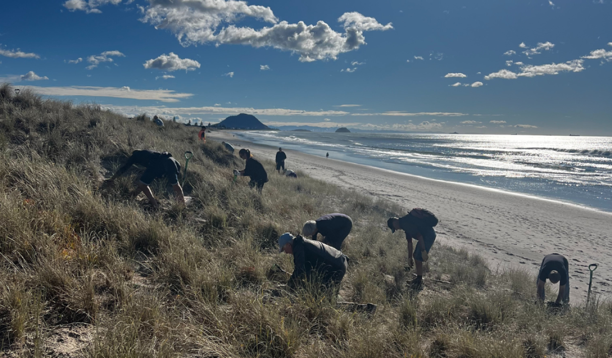 Pāpāmoa Beach Conservation