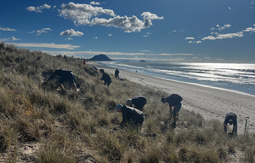 Pāpāmoa Beach Conservation